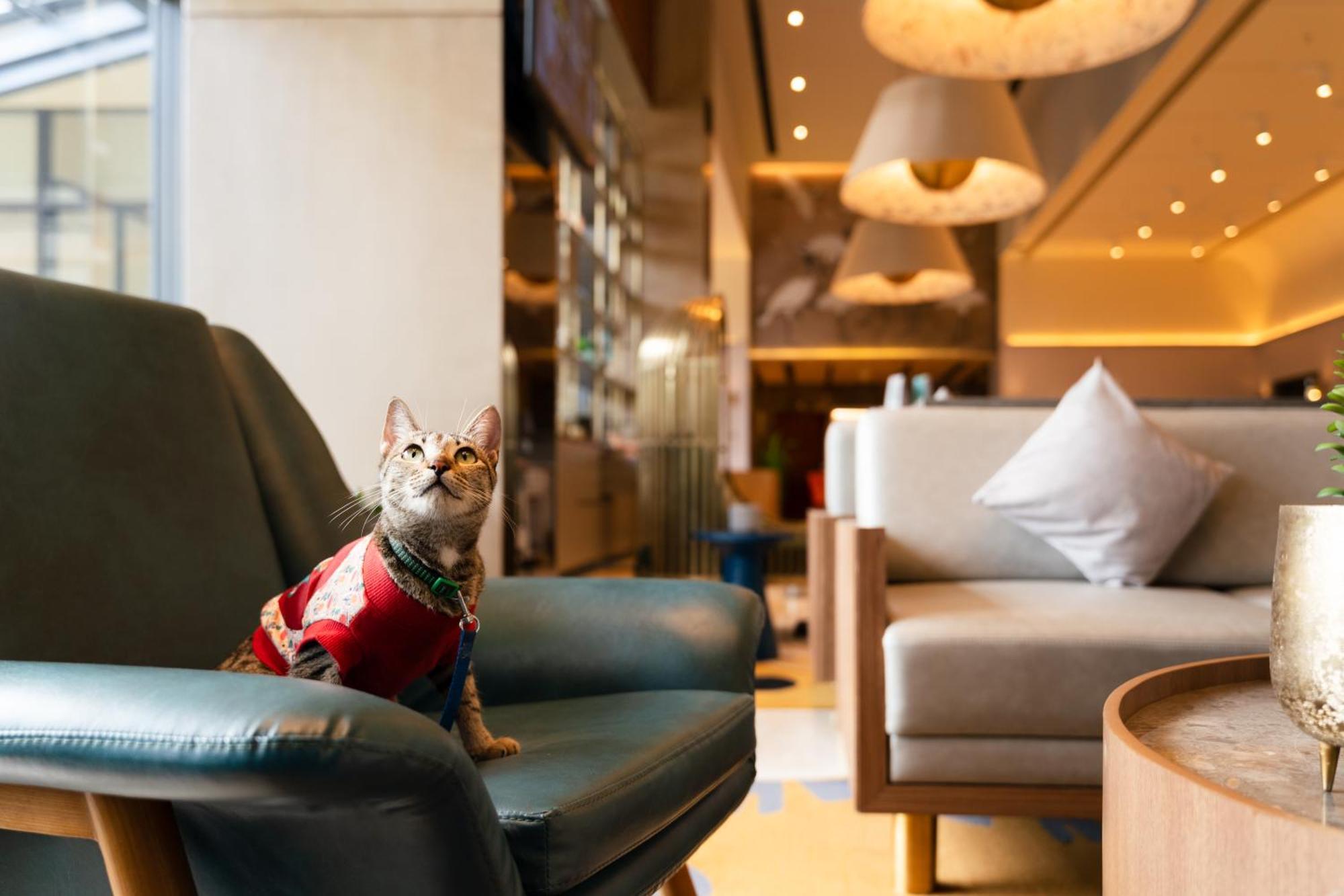 Hotel Ibis Styles Mysuru Esterno foto